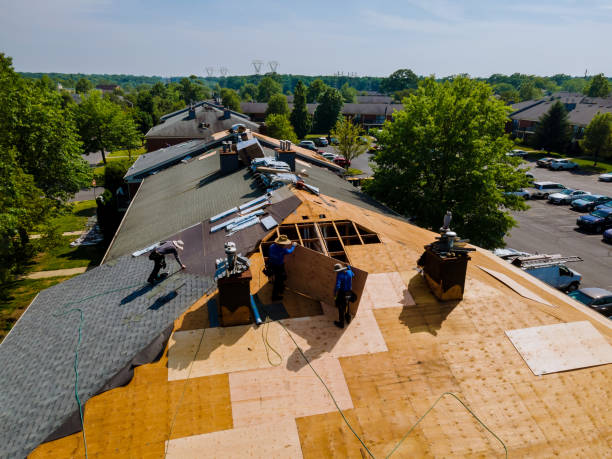 Best Roof Maintenance Services  in Chickamau, GA